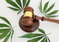 Hemp THC Recriminalization: A Blow to a Blooming Industry
