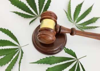Hemp THC Recriminalization: A Blow to a Blooming Industry