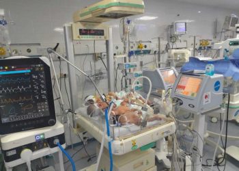 Desperate Gaza doctors cram several babies into one incubator as fuel crisis reaches critical point